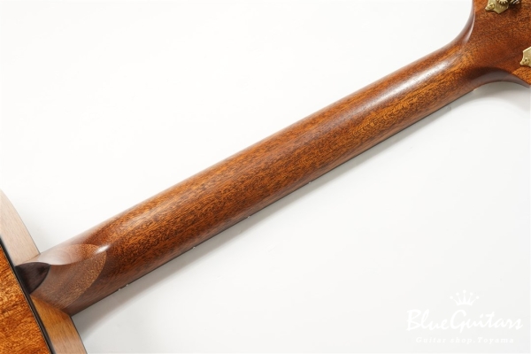 Model OM. TZARIAN  " Hiroshi Hirakawa | da h "